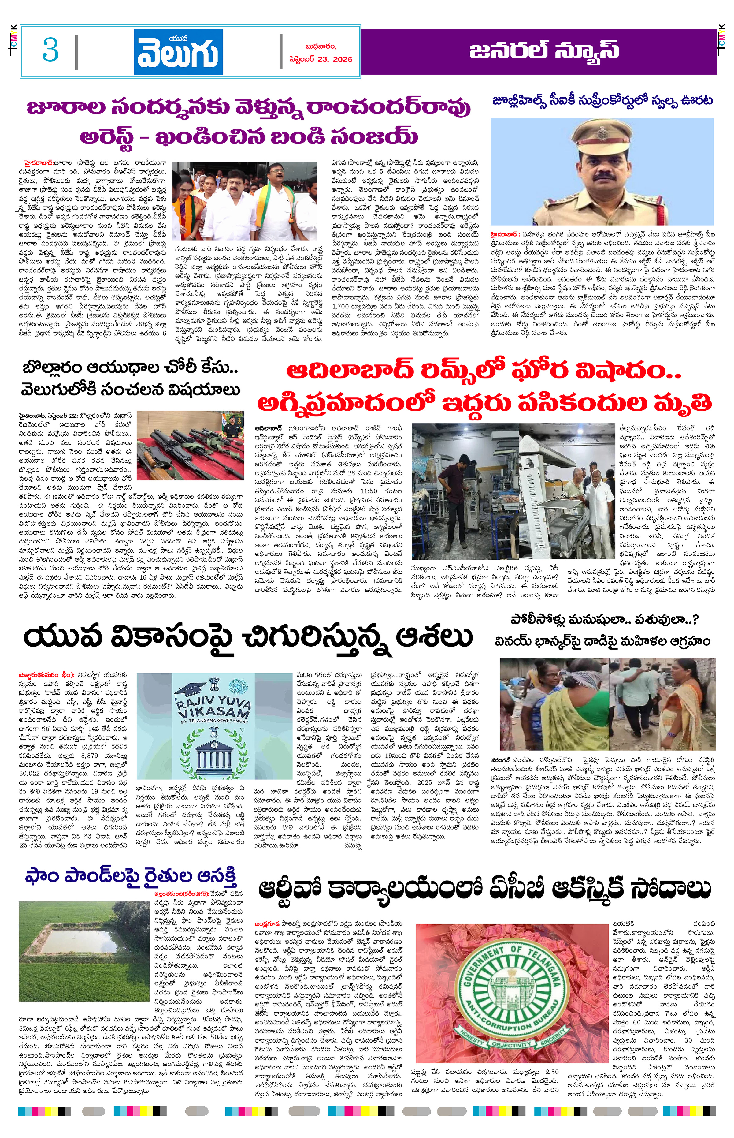 Page 3 thumbnail